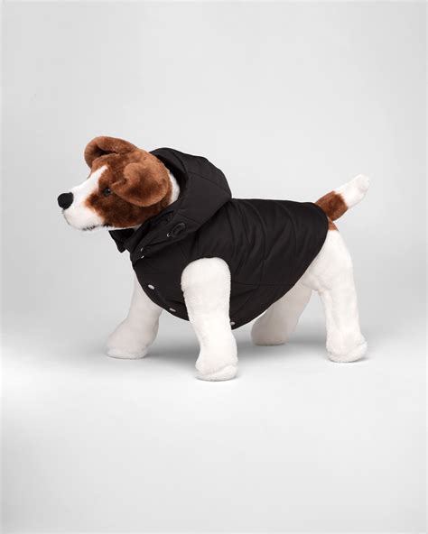 dog prada jacket|Prada coat dog .